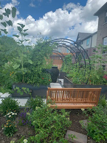 Raised Corten Garden Beds