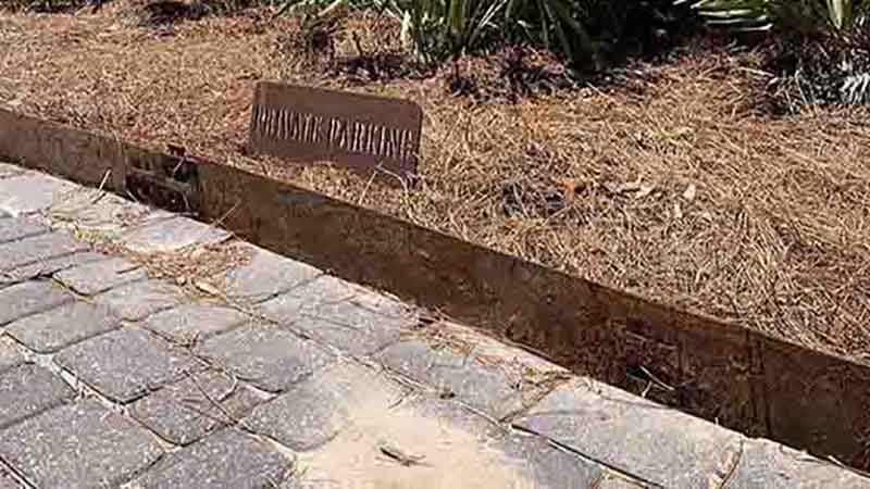 Weathering Steel Landscape Edging 