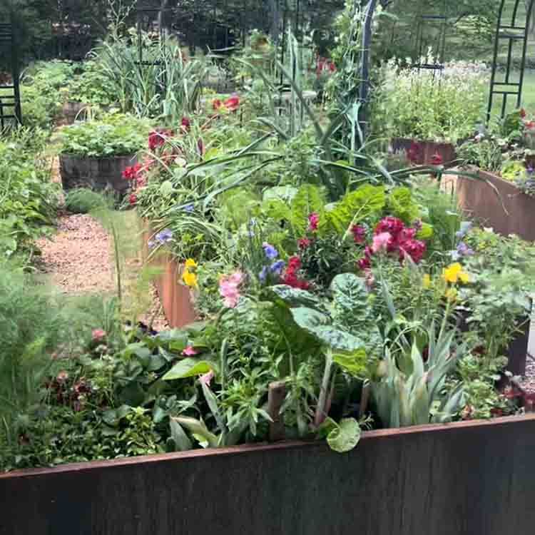 Raised Corten Kitchen Garden Planters 