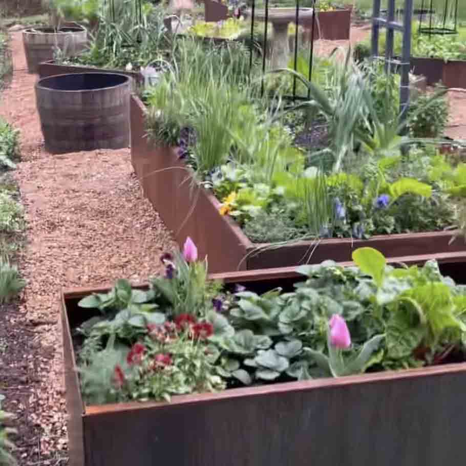 Raised Corten Steel Kitchen Garden Planters 